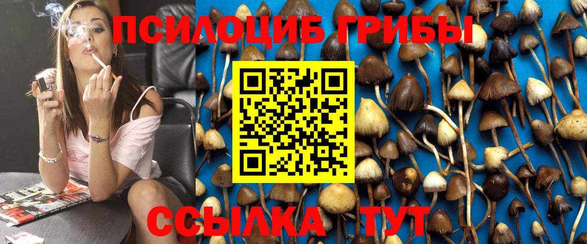 Галлюциногенные грибы Cubensis Тосно
